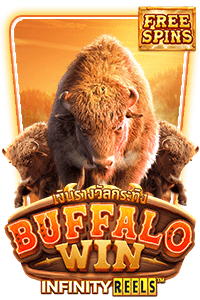 Buffalo Win icon